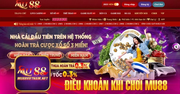 Quy định về tài khoản của người chơi tại nhà cái