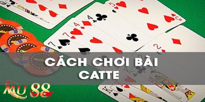 Hướng dẫn về chơi bài catte đổi thưởng